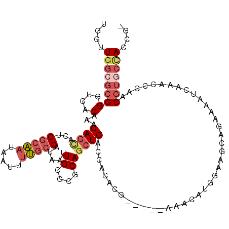 secondary structure