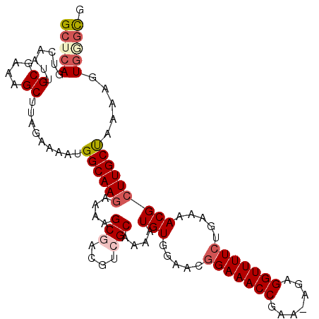 secondary structure