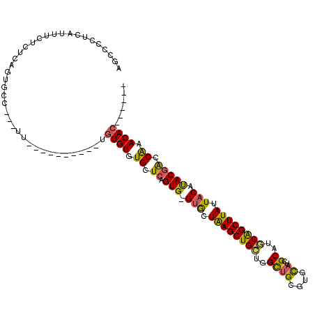 secondary structure
