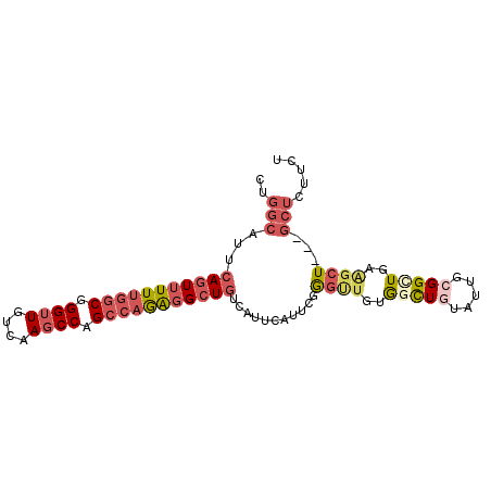 secondary structure