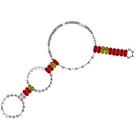 secondary structure