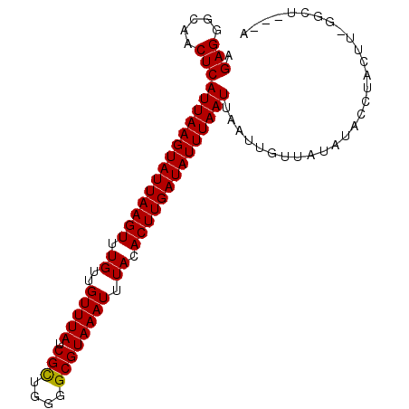 secondary structure