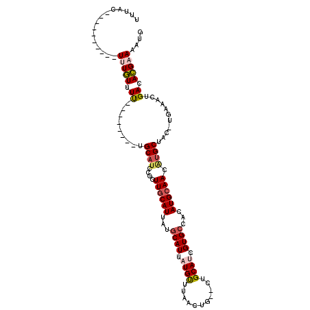 secondary structure