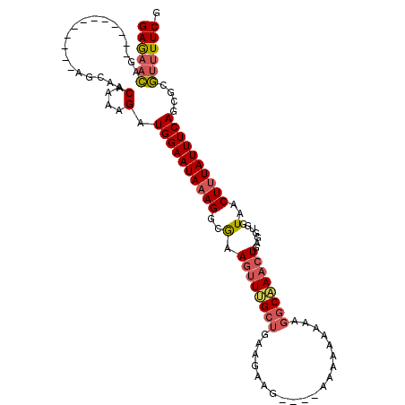 secondary structure