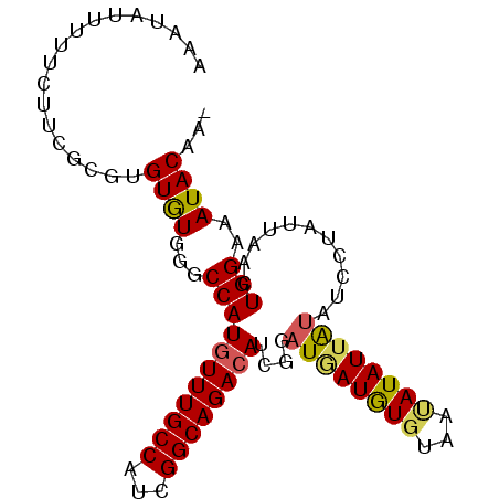secondary structure