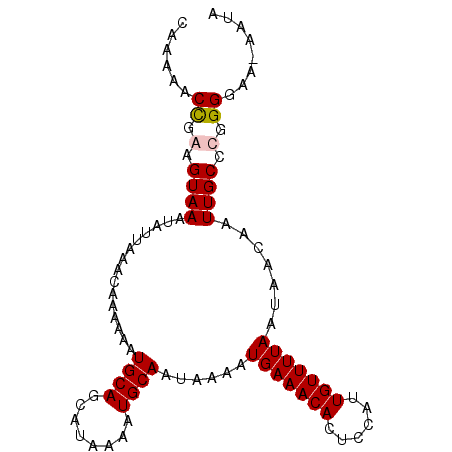 secondary structure
