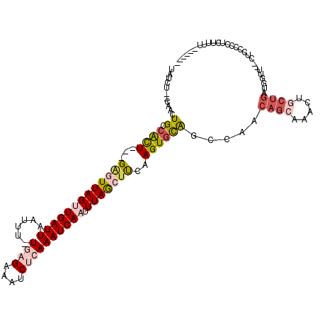 secondary structure