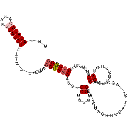 secondary structure