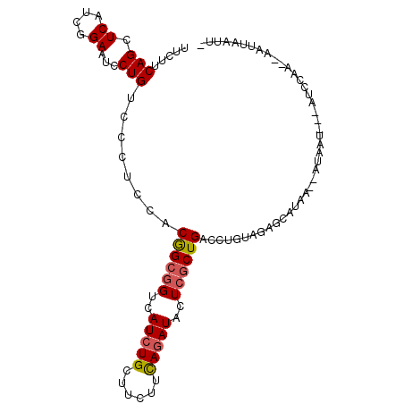 secondary structure