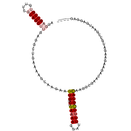 secondary structure