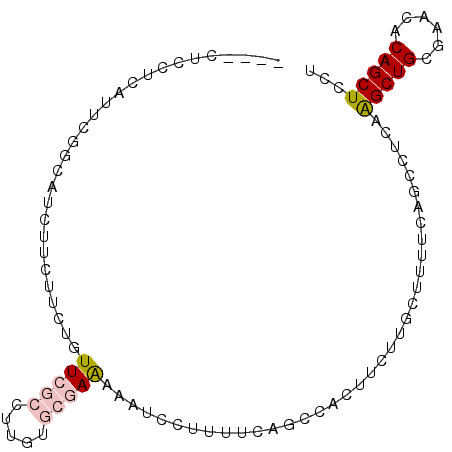 secondary structure