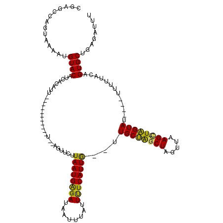 secondary structure