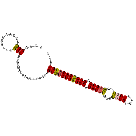 secondary structure