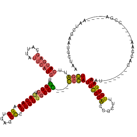 secondary structure