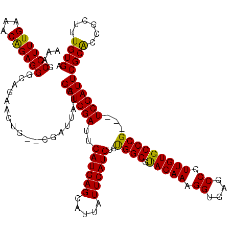 secondary structure