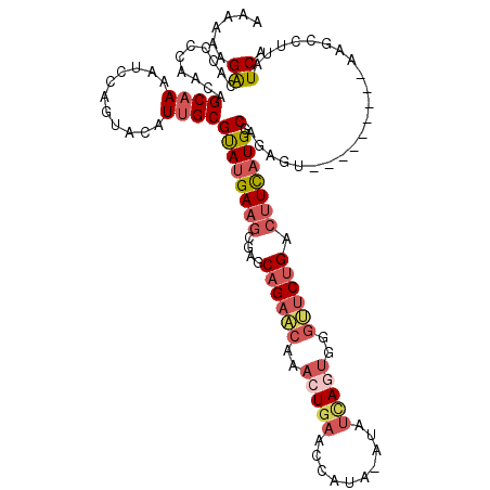 secondary structure