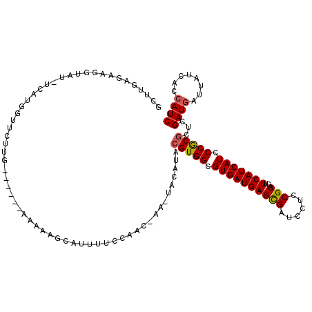 secondary structure