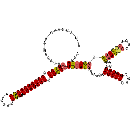 secondary structure