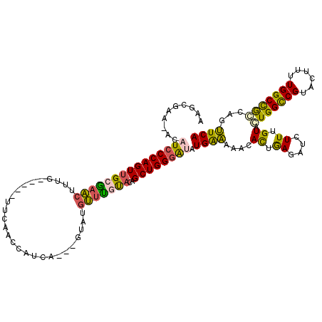 secondary structure