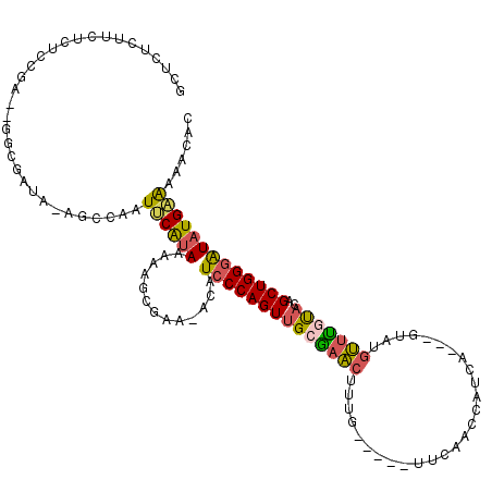 secondary structure