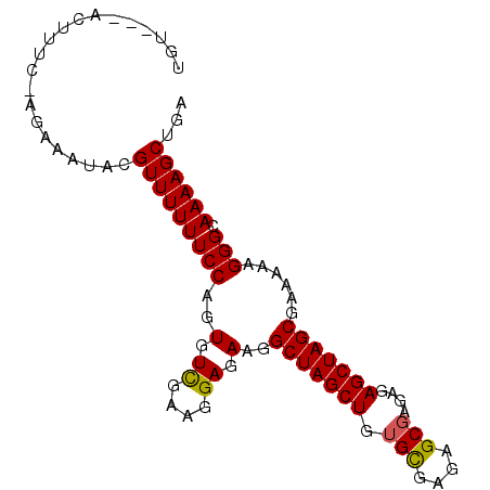 secondary structure