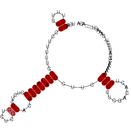 secondary structure