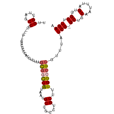 secondary structure