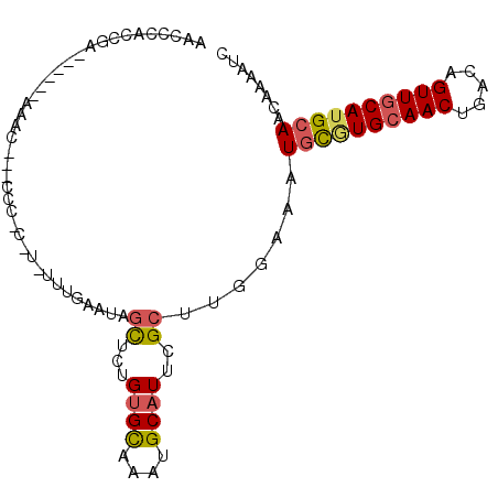 secondary structure