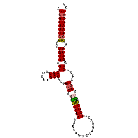 secondary structure