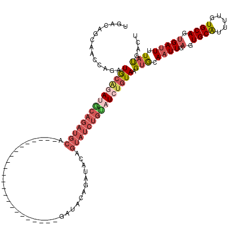 secondary structure