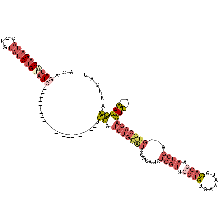 secondary structure