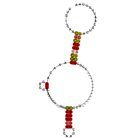 secondary structure