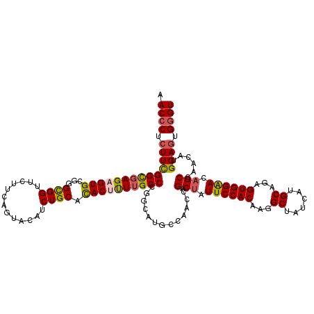 secondary structure
