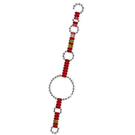 secondary structure
