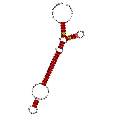 secondary structure