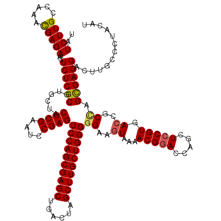 secondary structure