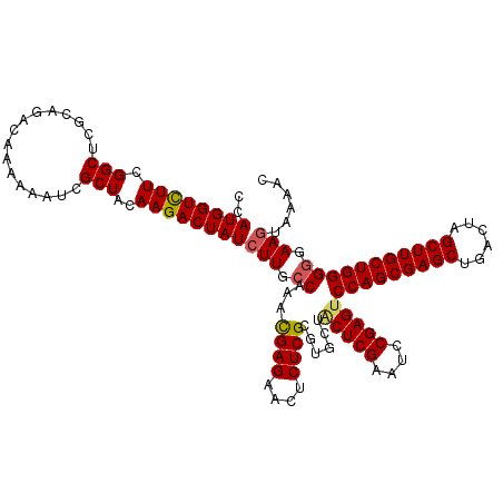 secondary structure