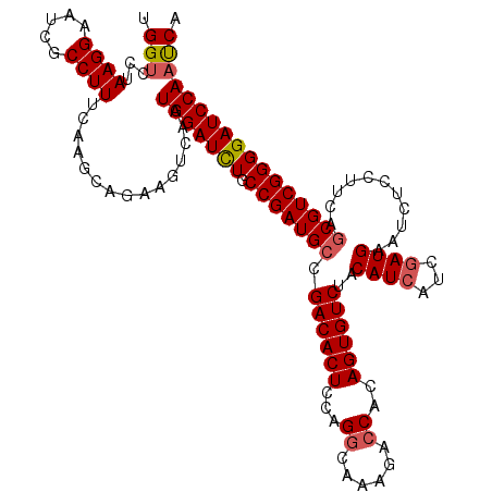 secondary structure