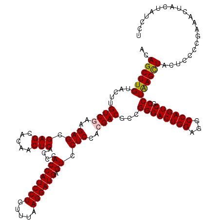 secondary structure
