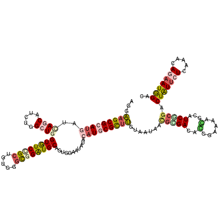 secondary structure