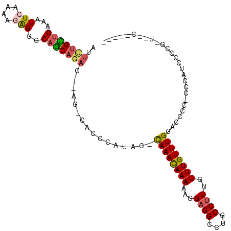 secondary structure