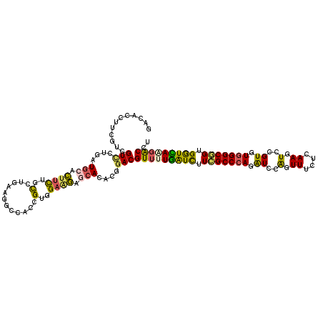 secondary structure