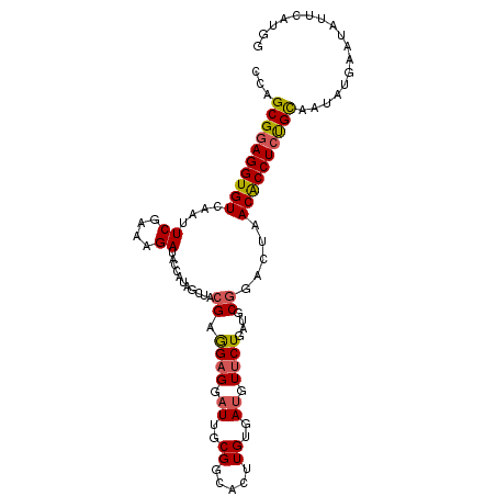 secondary structure