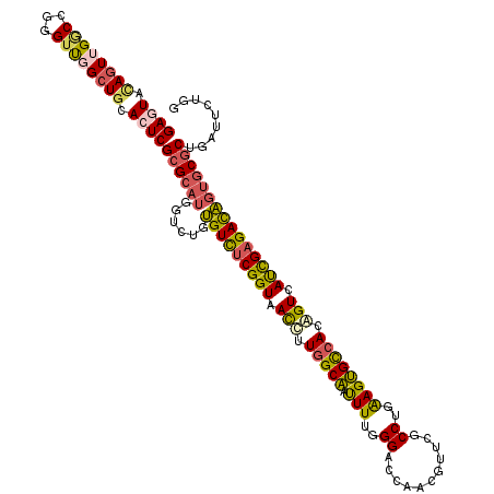 secondary structure