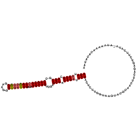 secondary structure