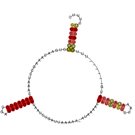 secondary structure