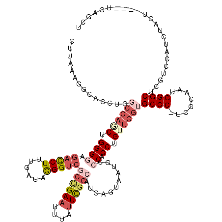 secondary structure
