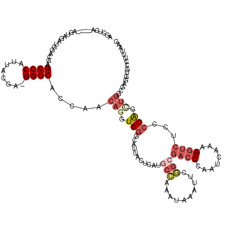 secondary structure