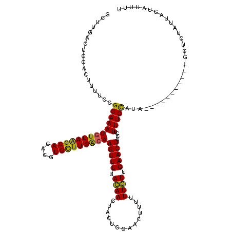 secondary structure