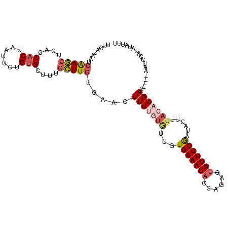 secondary structure